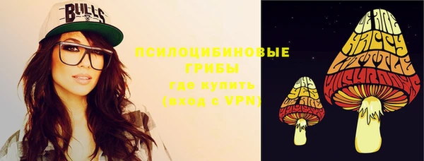 apvp Аркадак