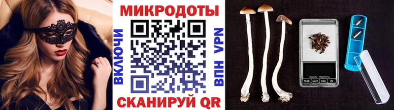 Галлюциногенные грибы мицелий  Бакал 